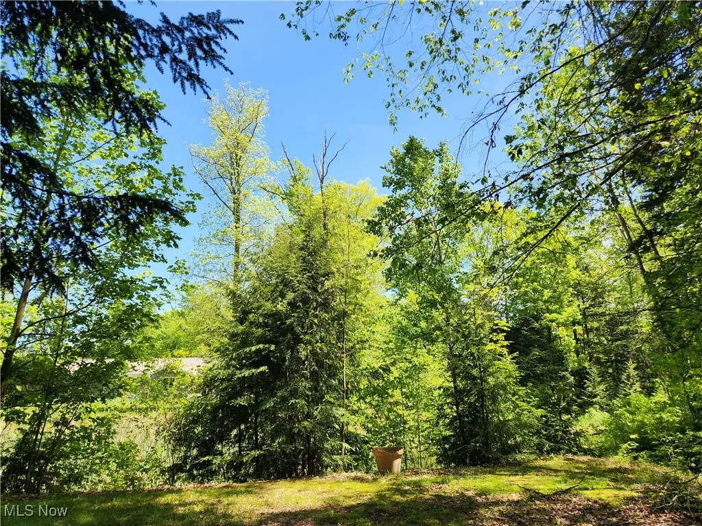 VACANT LAND Brakeman Road, Painesville Township, Ohio,MLS Now Listing ID