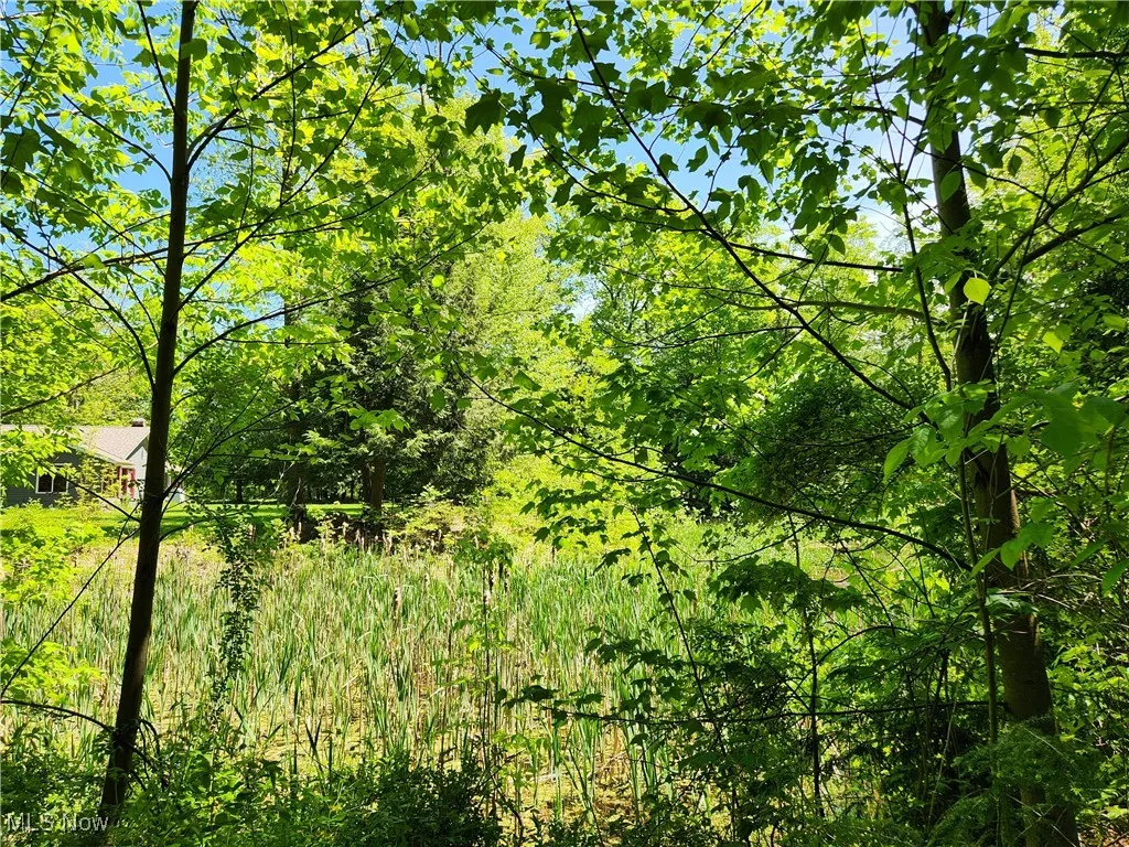 VACANT LAND Brakeman Road, Painesville Township, Ohio,MLS Now Listing ID