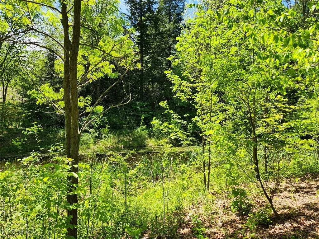 VACANT LAND Brakeman Road, Painesville Township, Ohio,MLS Now Listing ID