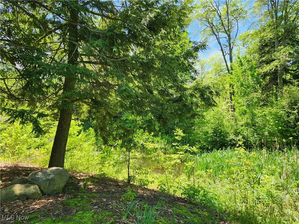 VACANT LAND Brakeman Road, Painesville Township, Ohio,MLS Now Listing ID