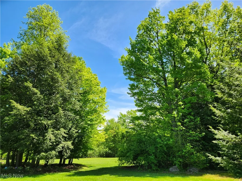 VACANT LAND Brakeman Road, Painesville Township, Ohio,MLS Now Listing ID
