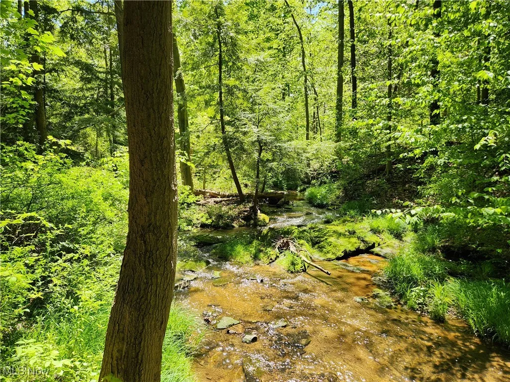 VACANT LAND Brakeman Road, Painesville Township, Ohio,MLS Now Listing ID