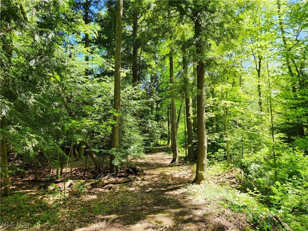 VACANT LAND Brakeman Road, Painesville Township, Ohio,MLS Now Listing ID