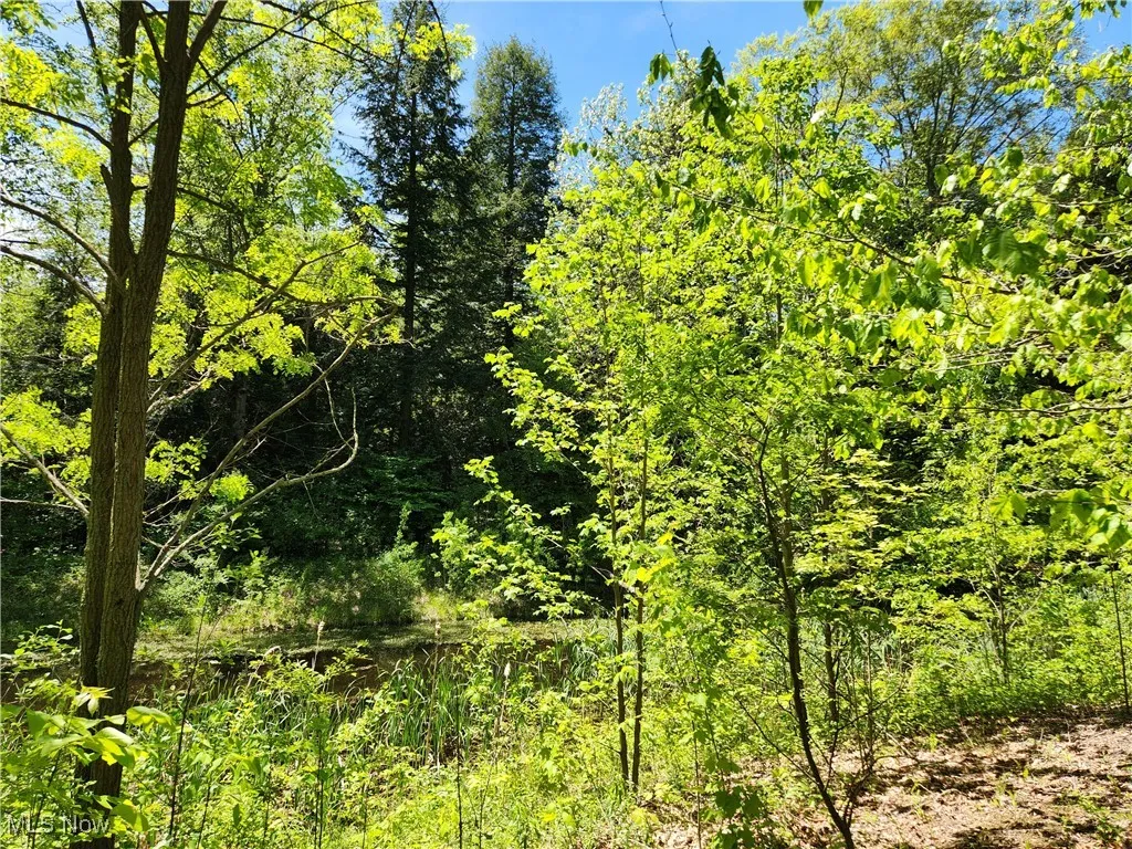 VACANT LAND Brakeman Road, Painesville Township, Ohio,MLS Now Listing ID