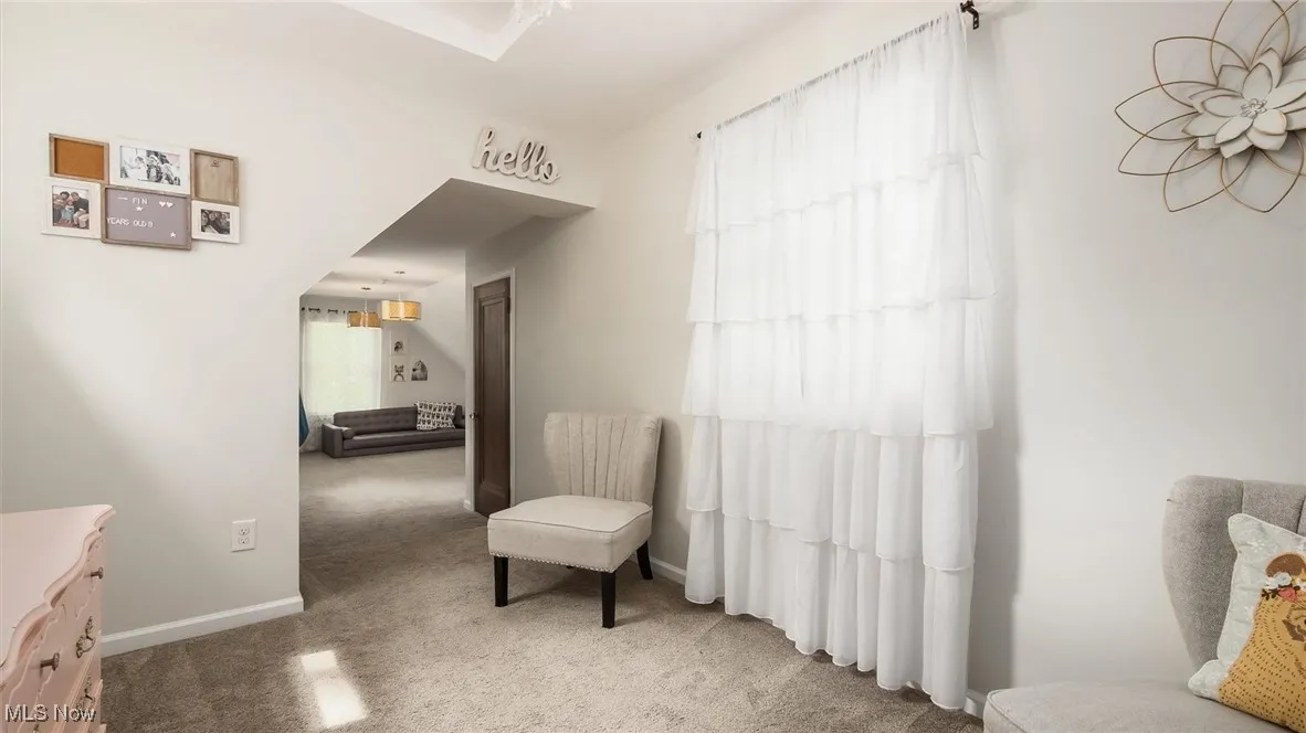 Living area featuring carpet flooring