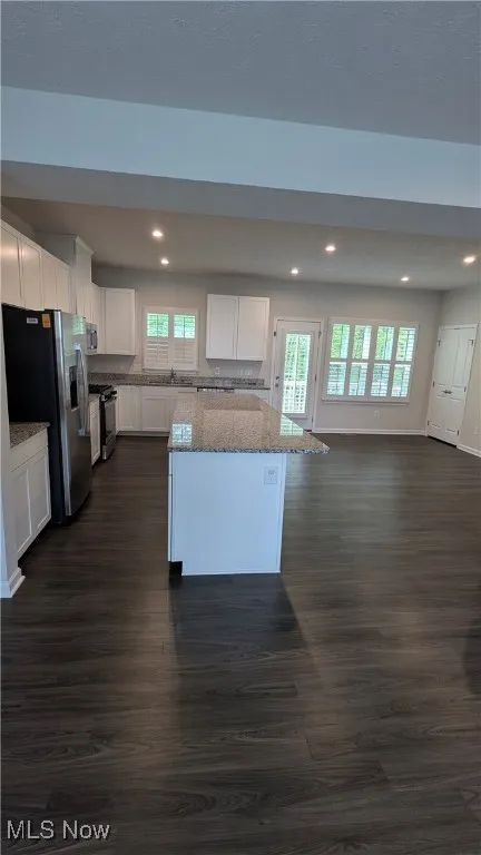 Kitchen with stainless steel appliances, dark wood-type flooring, recessed lighting, white cabinets, and light stone counters