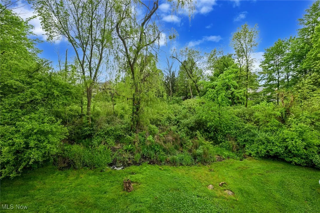 View of grassy yard