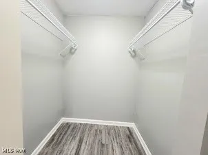 Walk in closet for the first floor bedroom