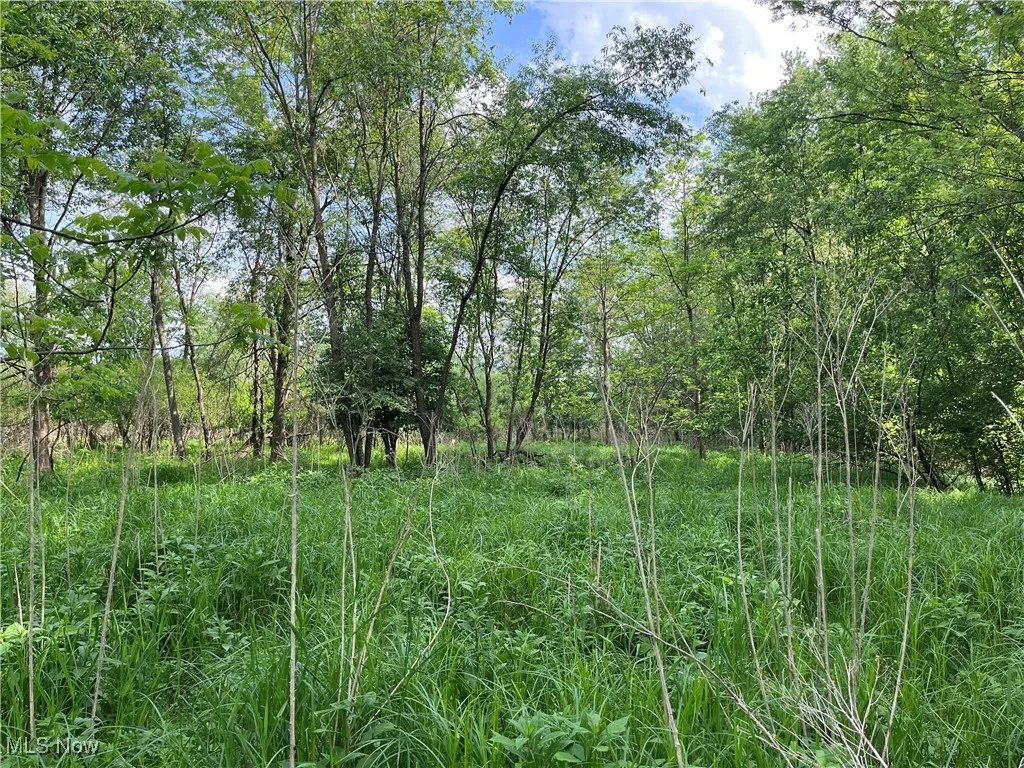 Birkdale Street, Canton, Ohio,MLS Now Listing ID