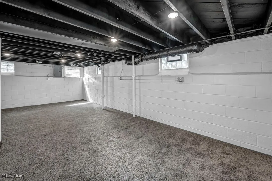 Basement featuring carpet and electric panel