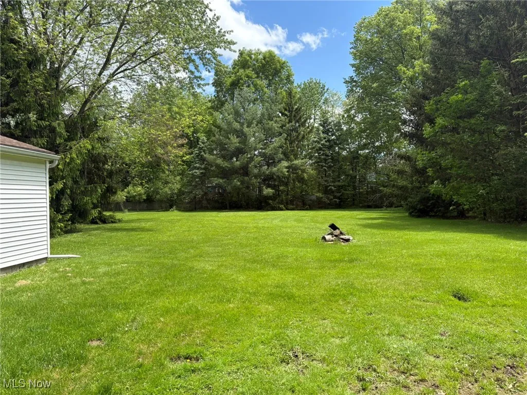 View of grassy yard