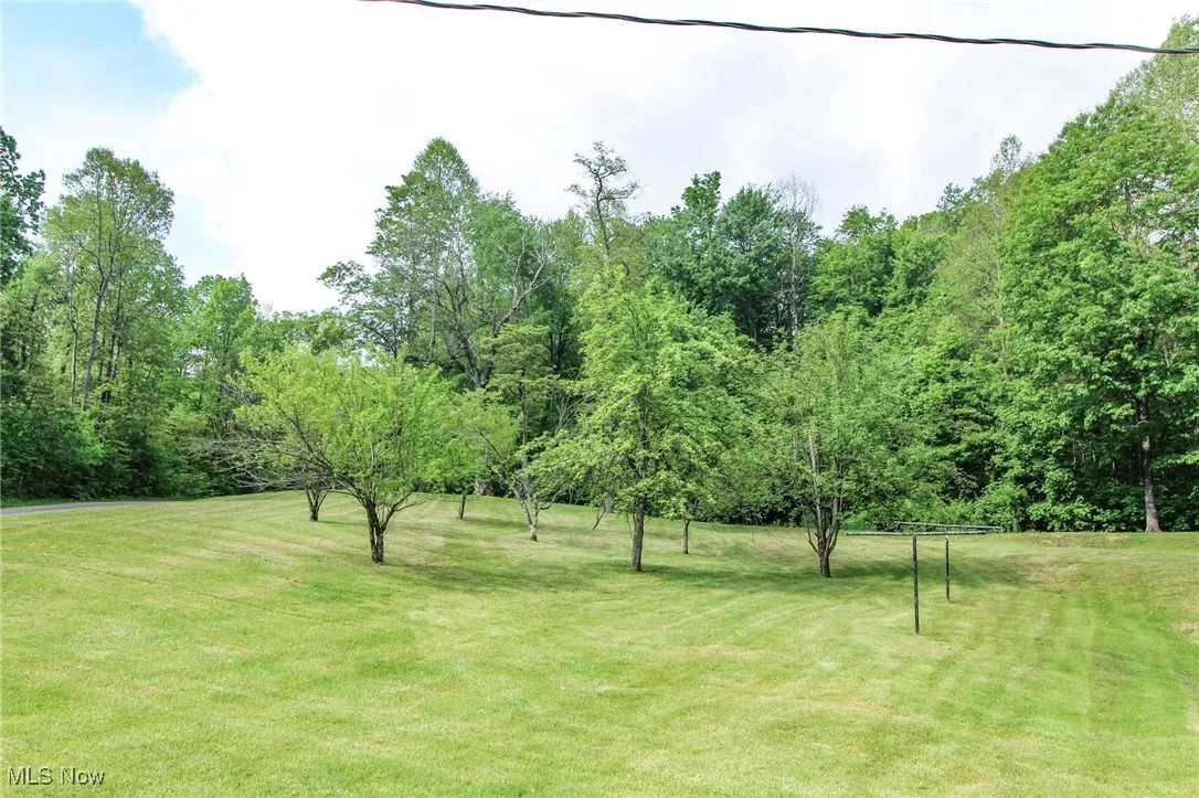 View of grassy yard