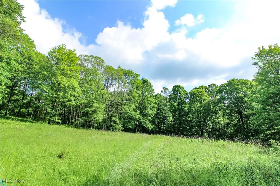 View of wooded area