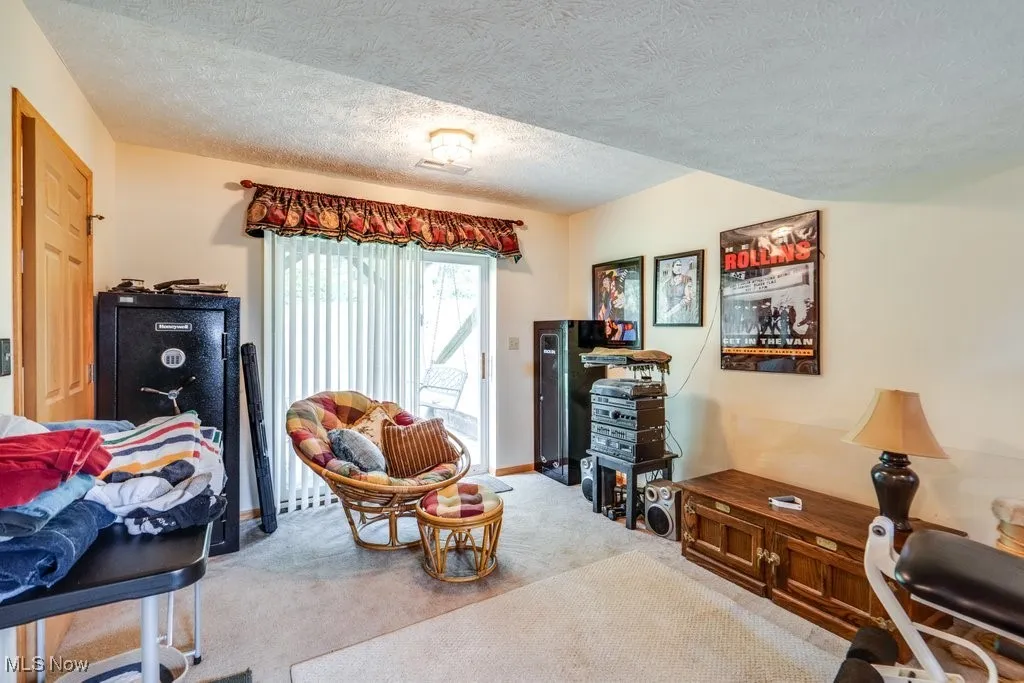 Lower level bonus room that can be used as a fitness area, recreation room, office, family room or work room