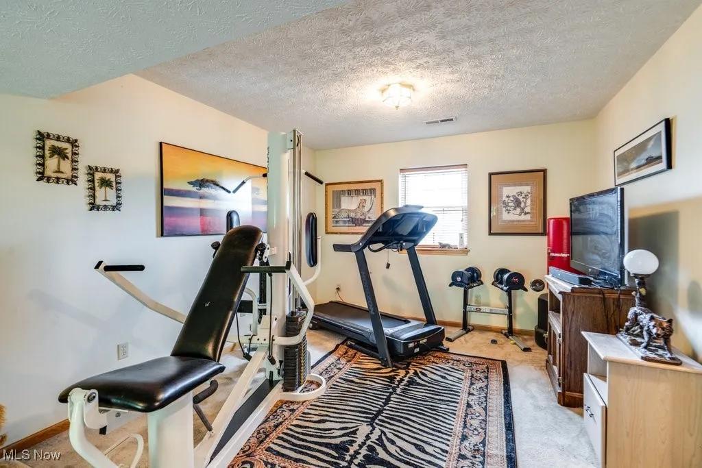 Lower level bonus room - being used as exercise room with light carpet, baseboards, and a textured ceiling