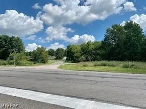 Akron Road, Doylestown, Ohio,MLS Now Listing ID