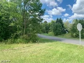Akron Road, Doylestown, Ohio,MLS Now Listing ID