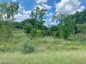 Akron Road, Doylestown, Ohio,MLS Now Listing ID