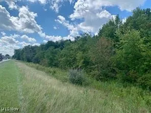 Akron Road, Doylestown, Ohio 44230,MLS Now Listing ID