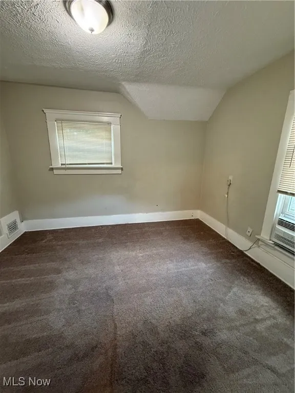 Bonus room featuring carpet flooring, vaulted ceiling, baseboards, and a textured ceiling