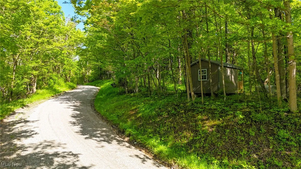 View of street featuring a forest view