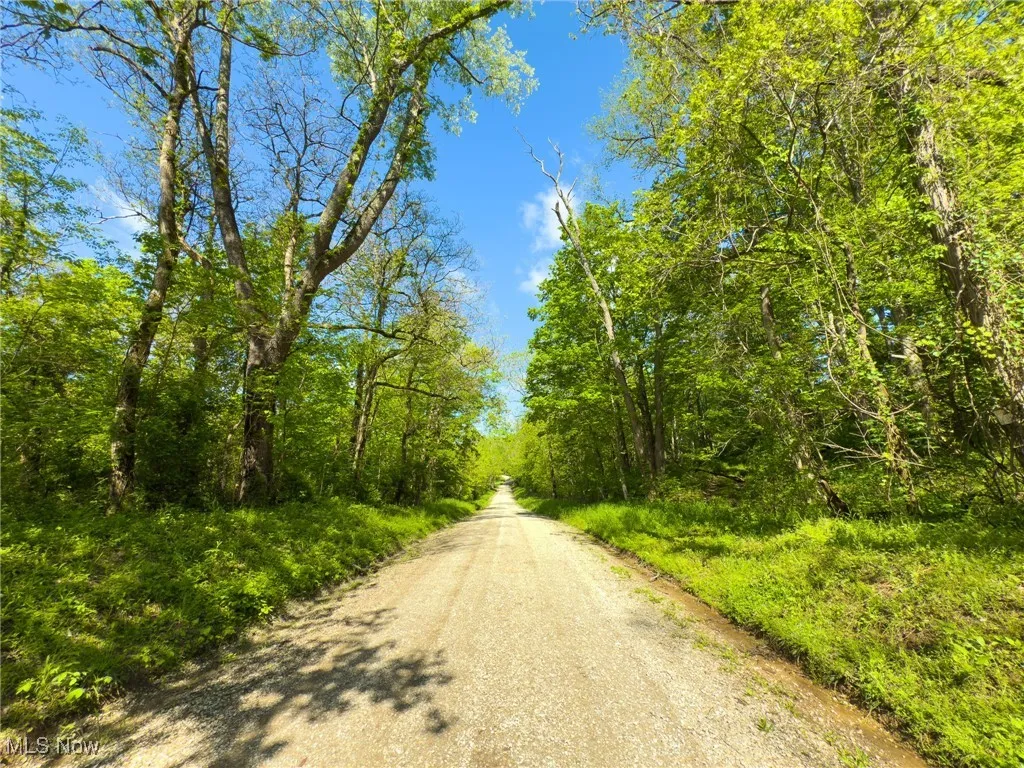 View of dirt / gravel road