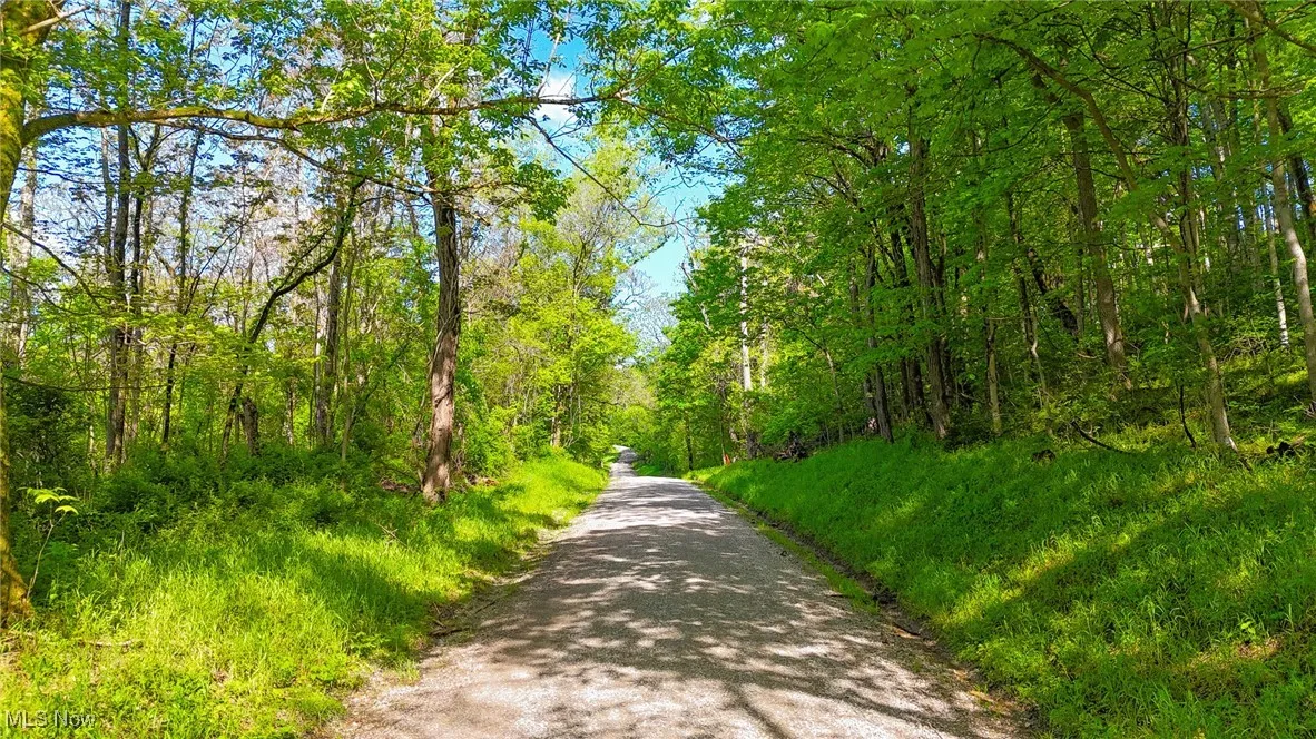 View of street featuring a forest view