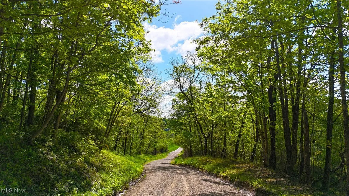 View of road featuring a wooded view