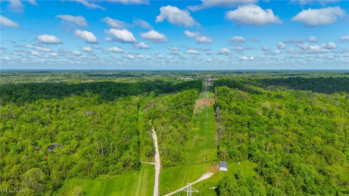 Bird's eye view of a forest