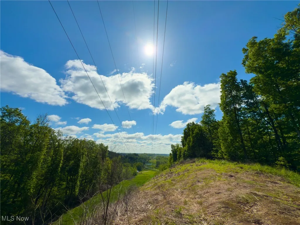 View of undeveloped land