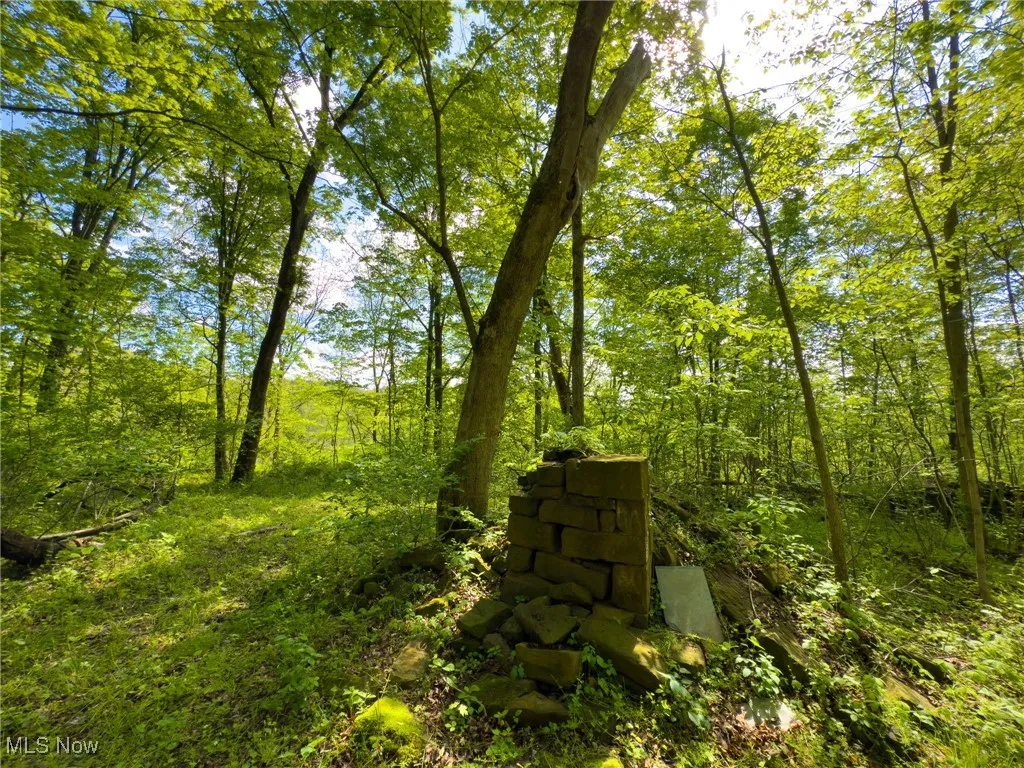 View of yard with a wooded view
