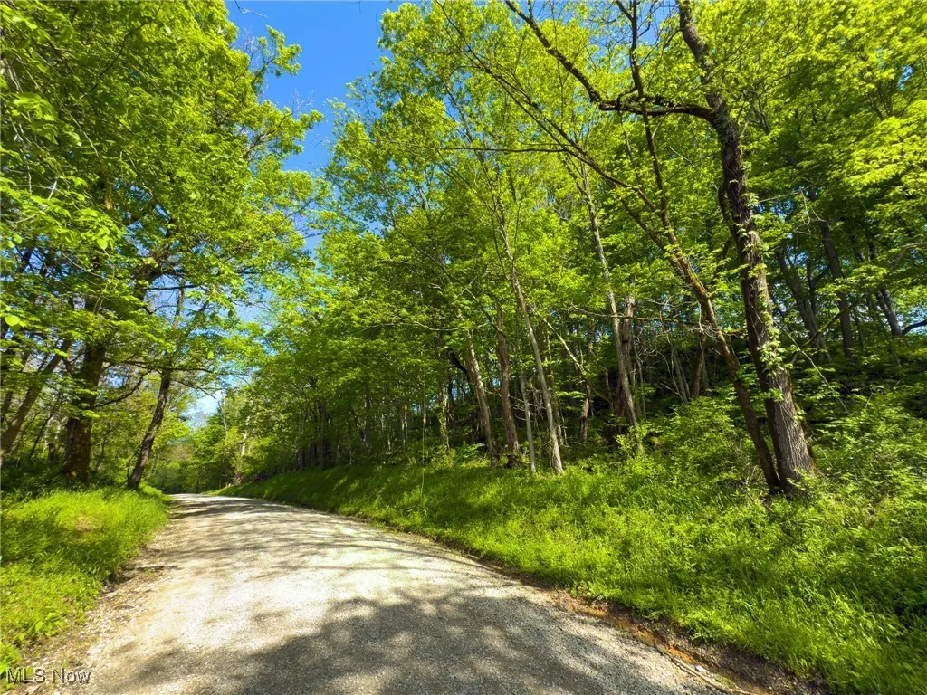 View of street with a wooded view