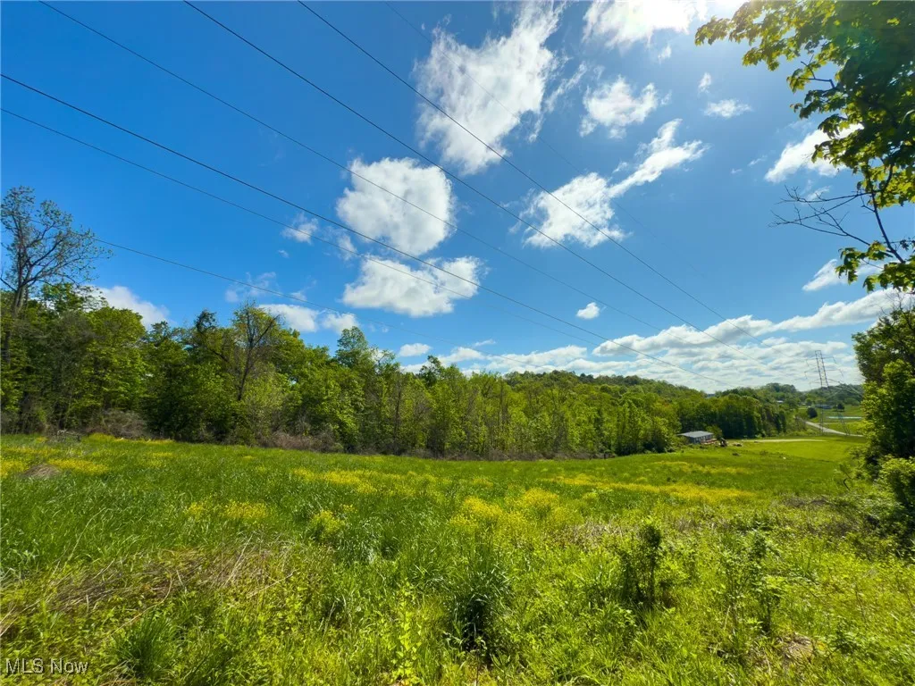 View of undeveloped land