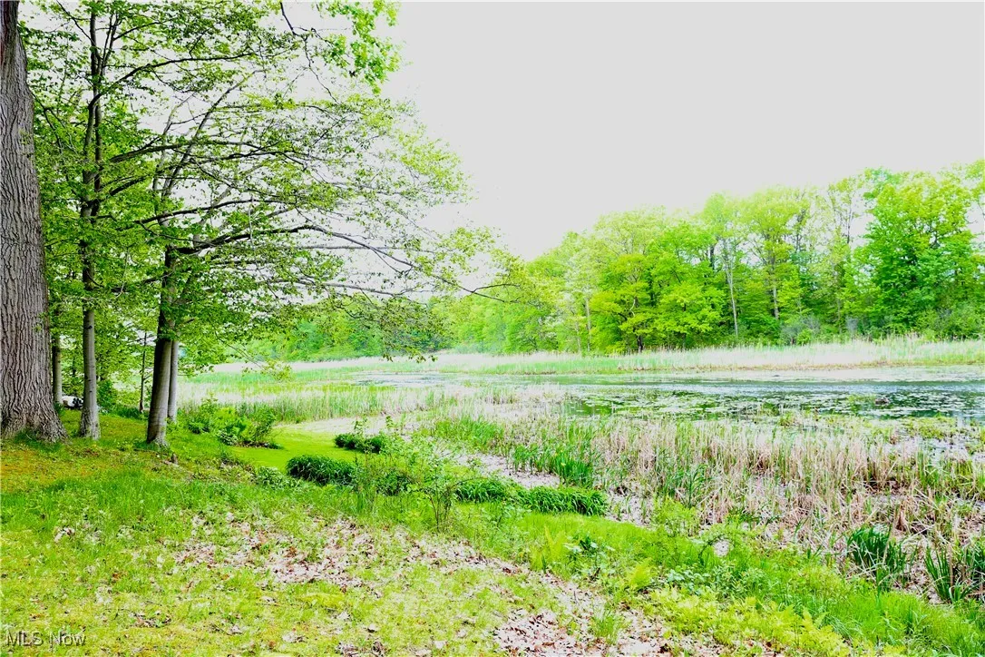 12532 Lake Drive, Burton, Ohio,MLS Now Listing ID