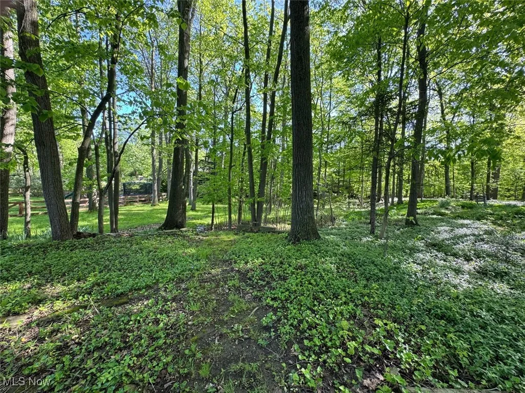 View of undeveloped land