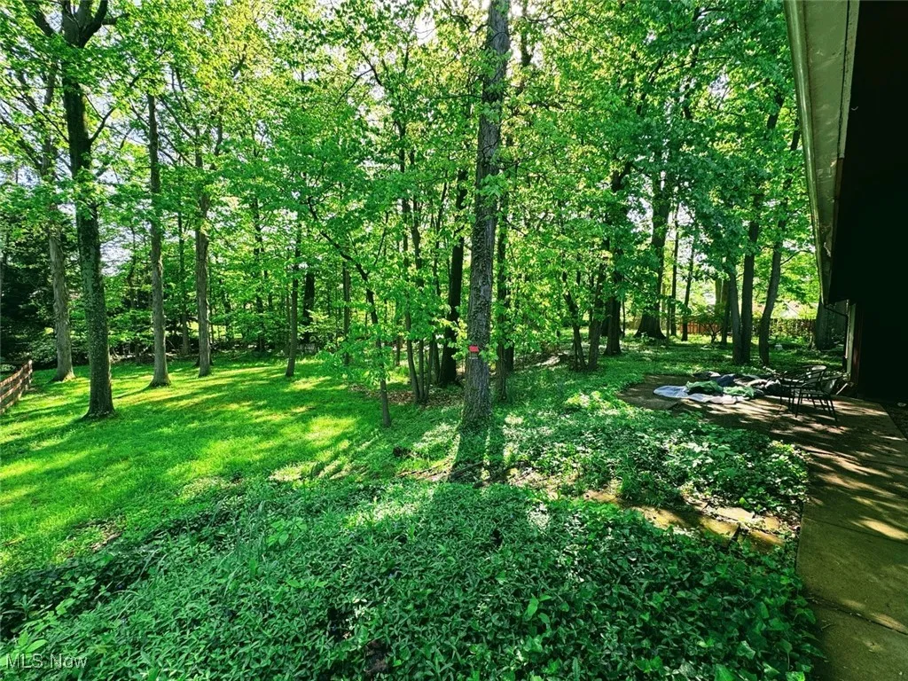 View of nature