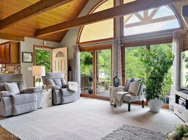 Carpeted living room featuring wood ceiling