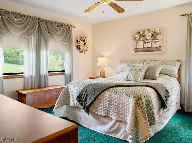Carpeted bedroom with a ceiling fan