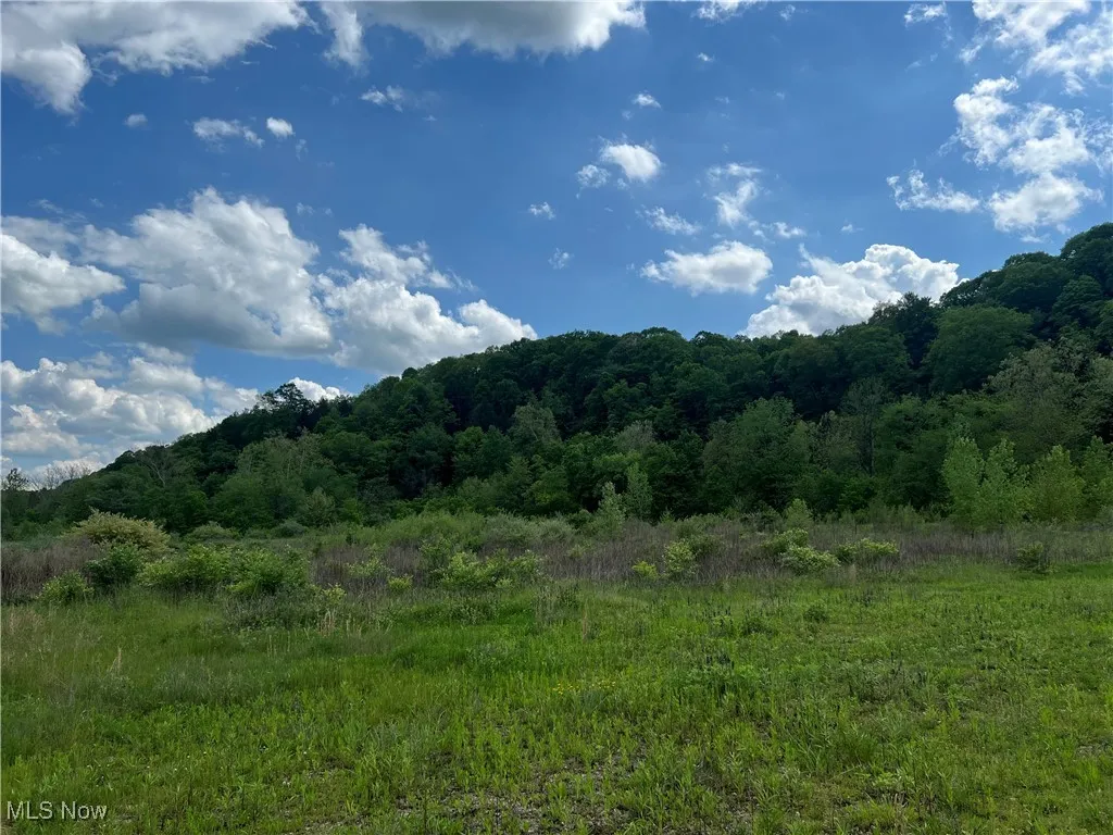 9405 Jackman Road, Negley, Ohio,MLS Now Listing ID