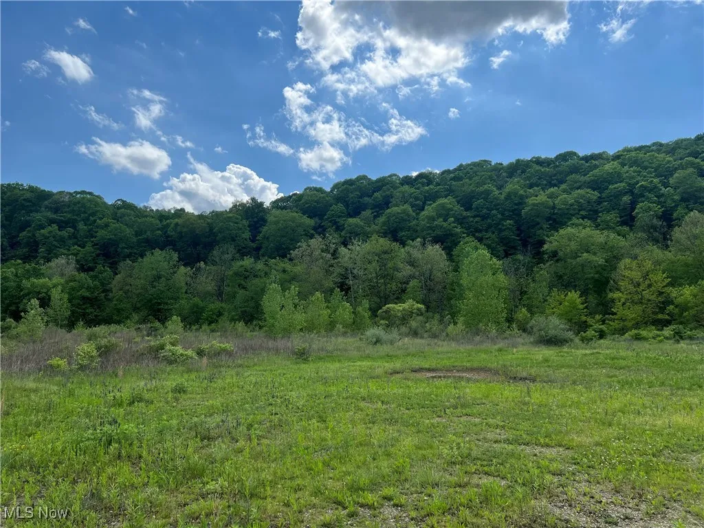 9405 Jackman Road, Negley, Ohio,MLS Now Listing ID