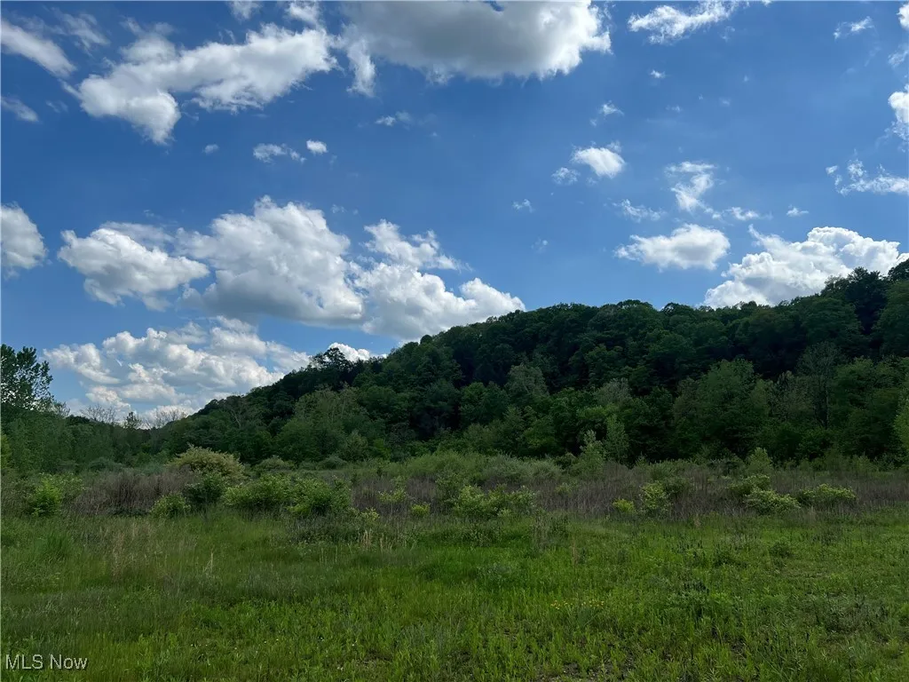9405 Jackman Road, Negley, Ohio,MLS Now Listing ID