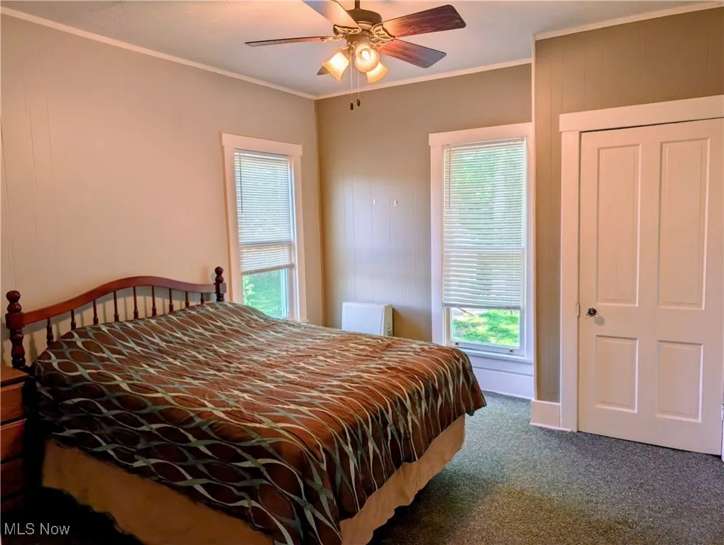 Bedroom featuring carpet, multiple windows, crown molding, and a ceiling fan
