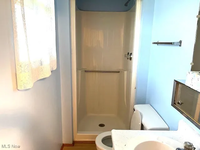 Bathroom with a shower stall, toilet, and vanity