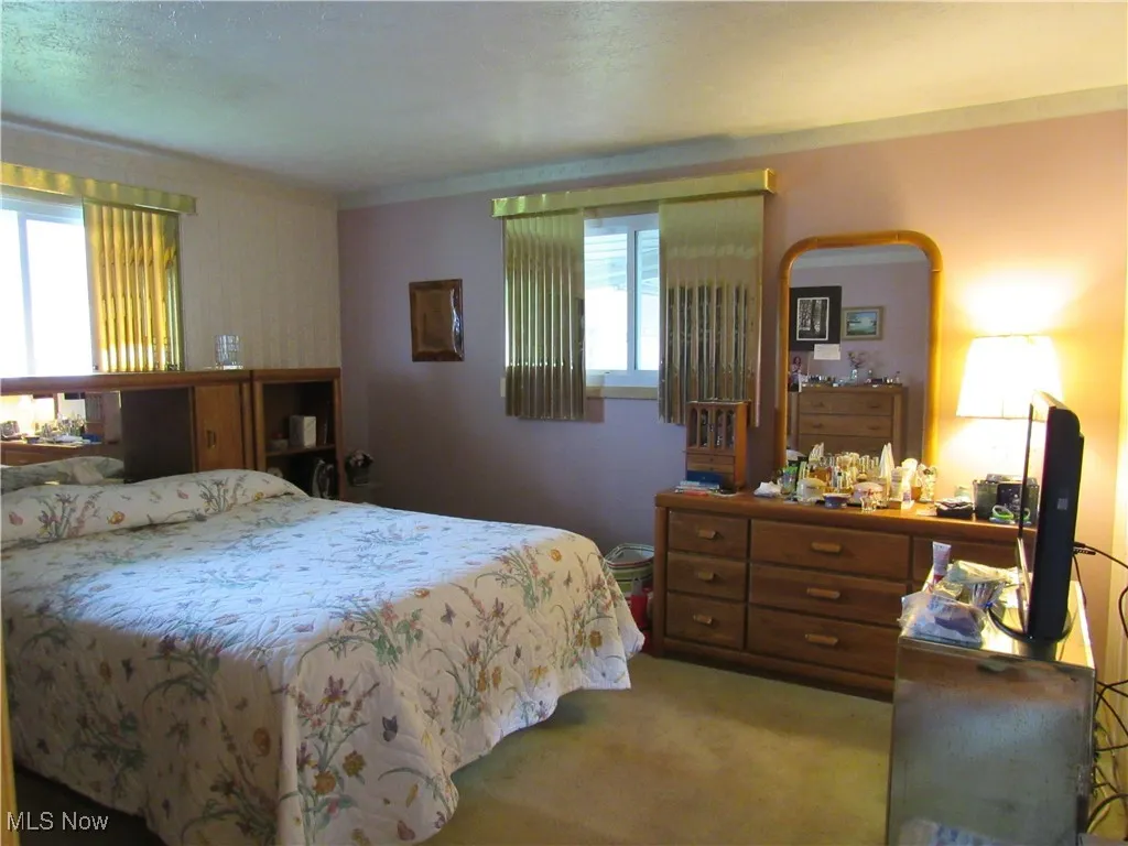 Bedroom with carpet flooring