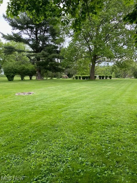View of green lawn featuring view of scattered trees