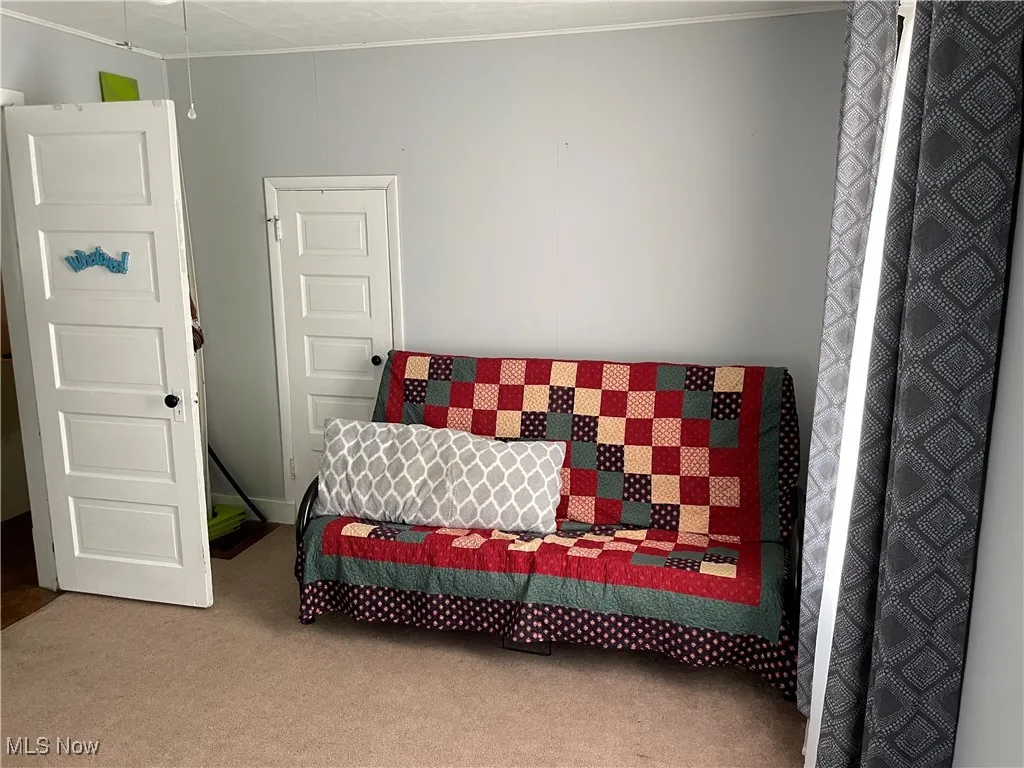 Bedroom with crown molding and carpet floors