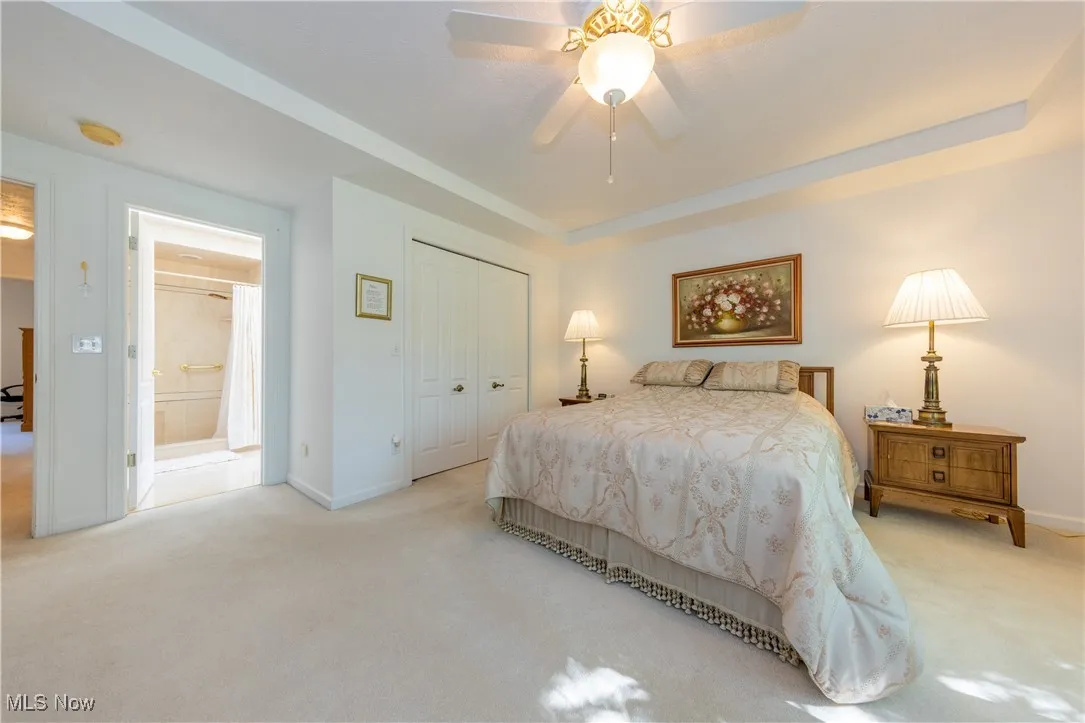 Bedroom with carpet, a raised ceiling, a closet, and baseboards