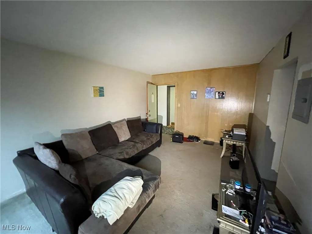 Living area with carpet floors, wood walls, and electric panel