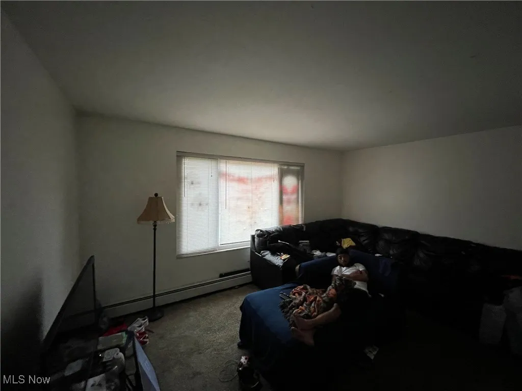 Carpeted living room with baseboard heating