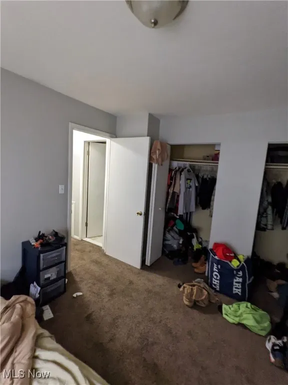 Bedroom with carpet and a closet